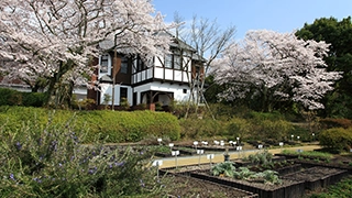 京都薬用植物園